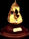 Sein Award